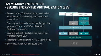 AMD Zen6霄龙曝光：史上第一次16通道内存