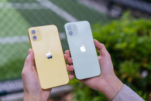 库克挤爆牙膏 iPhone15发布苹果一夜蒸发3400亿