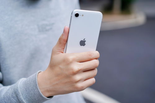 iPhone 15系列开售，官网一度被挤崩！