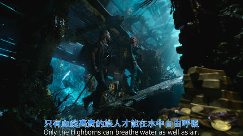 原神水下沉落物在哪 光影研学旖旎水界第五天攻略