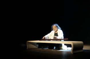 青年琵琶艺术家柳青瑶古曲新奏，《魔域》专属主题曲《落雁风华》9.25上线！