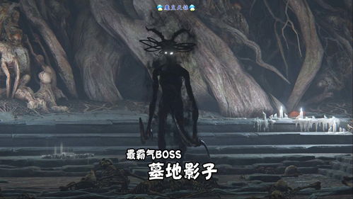 《艾尔登法环》DLC“黄金树之影”即将发布