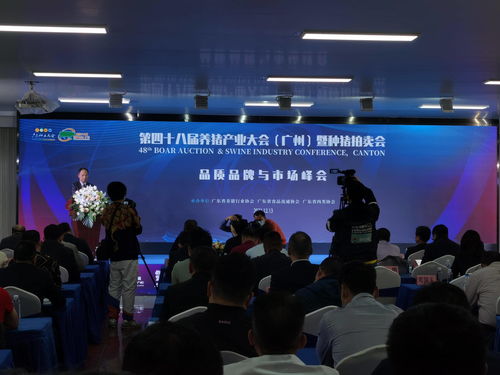 华大集团CEO：基因编辑技术可在猪身上生产出人心