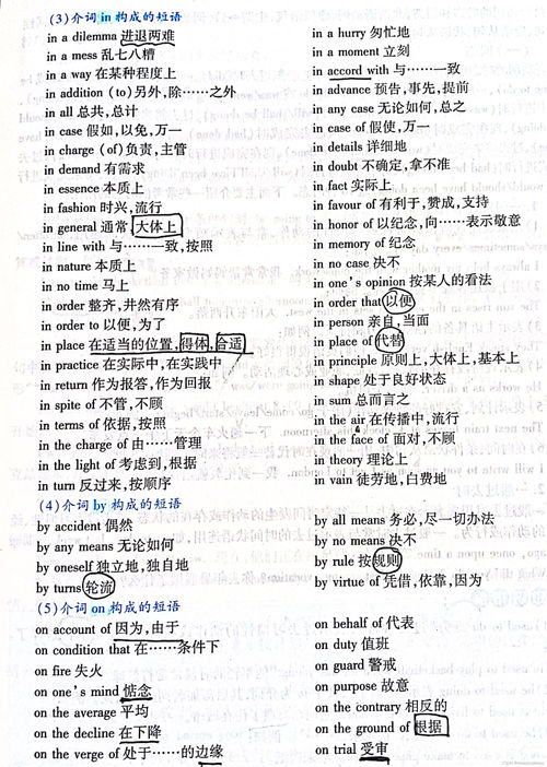 大学生利用AI破译赫库兰尼姆古卷“紫色”单词 获4万美元奖金