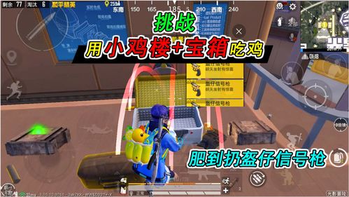 小鸡舰队出击每日挑战玩法攻略 每日挑战玩法新手怎么玩