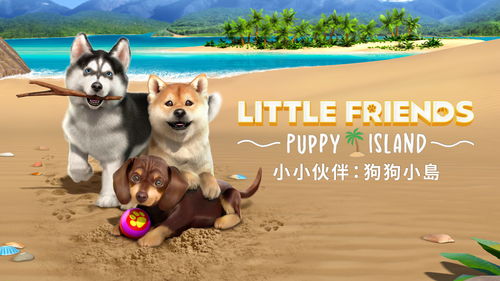 一只柴犬将参加游戏速通大会 速通任天堂游戏