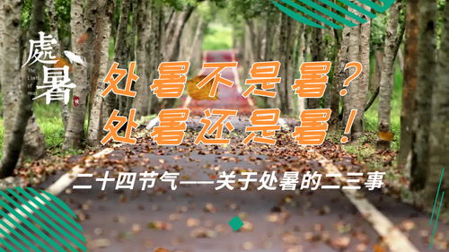 光遇归巢季毕业要多少天 归巢季毕业时间要多久