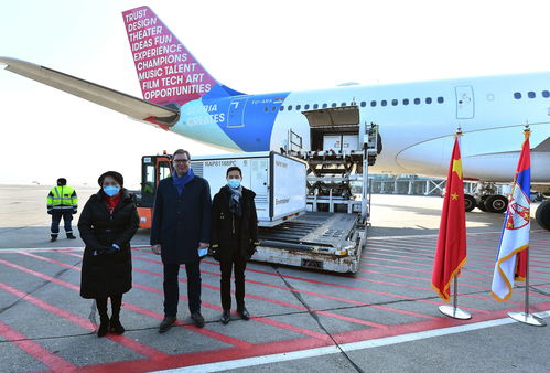 《AirportSim机场：模拟地勤》超真实机场模拟器——你的机场被我承包了