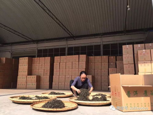 东家有爱，善行天下！益世界《我是大东家》&故宫观唐主题公益活动精彩回顾