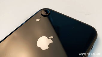 已降至5000出头！iPhone 15全系价格大崩盘 完全不用抢
