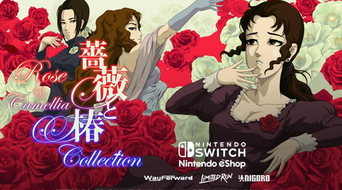 扇巴掌再升级 《蔷薇与椿》官方展示指虎Joy Con 扇巴掌再升级 《蔷薇与椿》官方展示指虎Joy Con