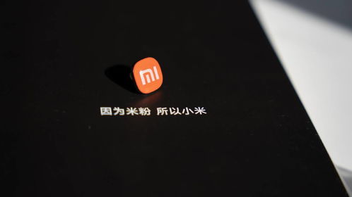 小米申请多个HyperOS商标 有望全系升级澎湃OS