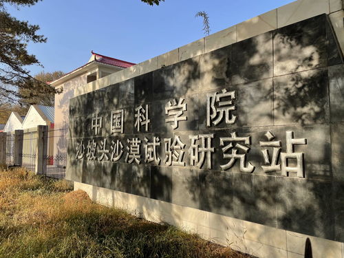 国产种田《沙石镇时光》更新正式版 特别好评、限时首发折扣