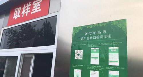 拉瑞安展示《博德之门3》Xbox Series S版优化进展