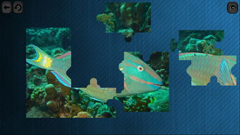 水上生活模拟RPG新游《Our Life on Water》上线Steam
