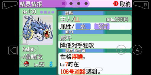 高玩坚持《宝可梦：蓝宝石》奇葩圆周率玩法 1.6万小时没出新手村