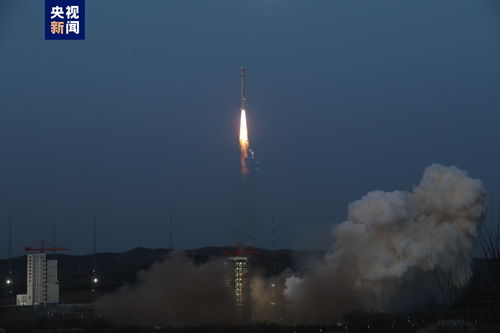 木兰木制成 美国宇航局计划明年发射全球首个木制卫星 LignoSat