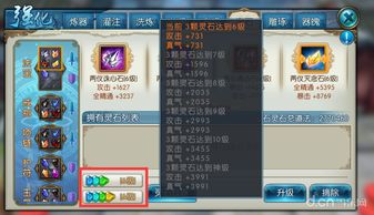 天天打蘑菇宝石镶嵌什么属性最好