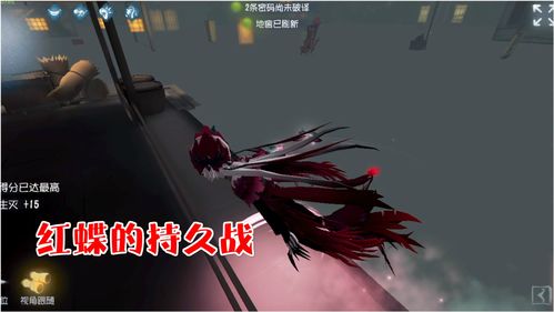第五人格红蝶生日任务攻略