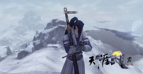 天涯明月刀手游释楼云打法攻略 释楼云门派打法推荐