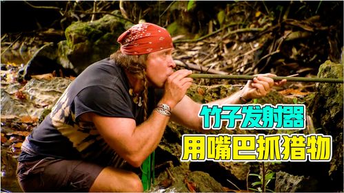 挨饿荒野泰国丛林隐藏任务怎么过