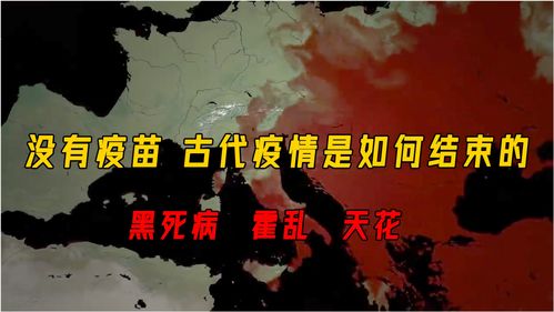 模拟江湖斗茶怎么完成