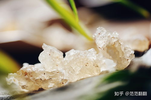 烟雨江湖豆腐在哪里买