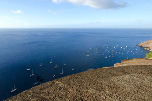 挨饿荒野菲律宾海岛收集5颗海星