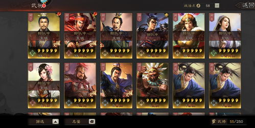 三国志战略版张任兵书怎么加