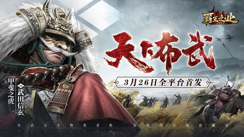 霸王之业战国野望大友宗麟厉害吗 技能特点介绍