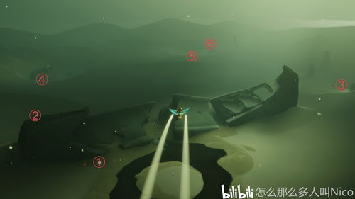 sky光遇雨林之光在哪 抓住雨林之光任务攻略