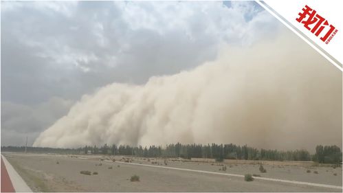 和平精英沙尘暴天气有什么影响 沙尘暴天气解读