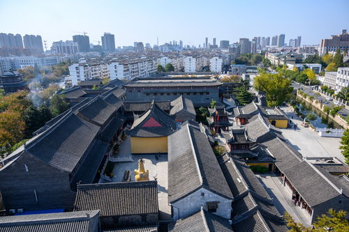 烟雨江湖舍利塔谜题密码是多少