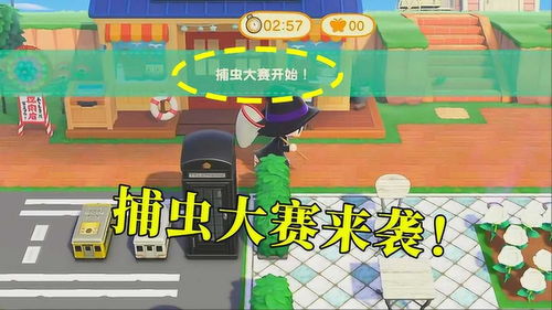 动物之森森林蛋套装怎么获得
