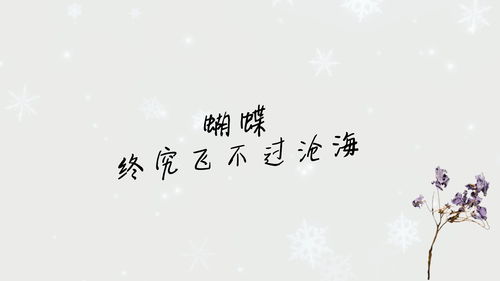 如果一生只有三十岁怎么抓蝴蝶