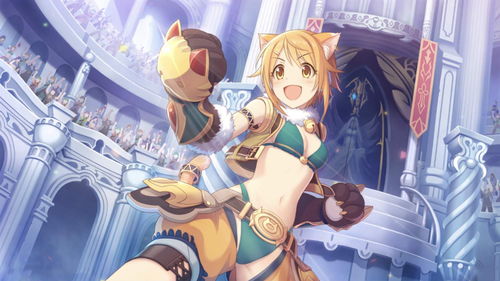 公主连结升星需要多少女神秘石