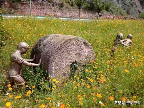 奶牛镇的小时光告白花束怎么赠送
