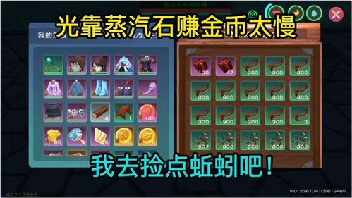 创造与魔法阳光龙猫怎么样