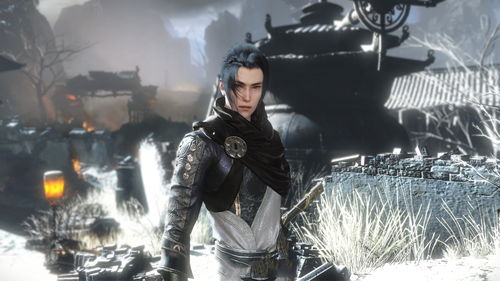 遇见逆水寒归园石换什么好