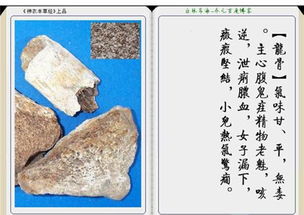 觅长生药材介绍 药力药性详解