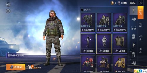和平精英战斗矩阵套装需要多少钱