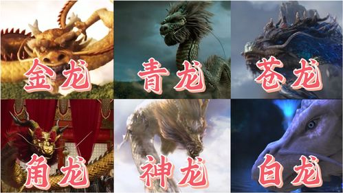 我功夫特牛东方不败打法攻略