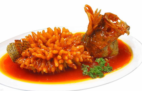 食物语松鼠鳜鱼怎么培养