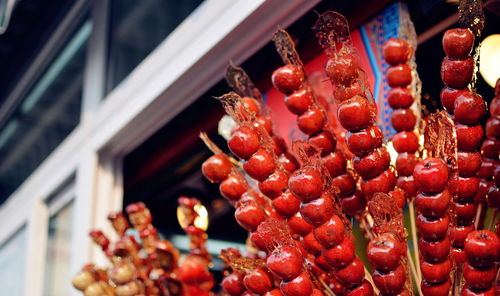 食物语中冰糖葫芦培养攻略 食物语中冰糖葫芦培养攻略