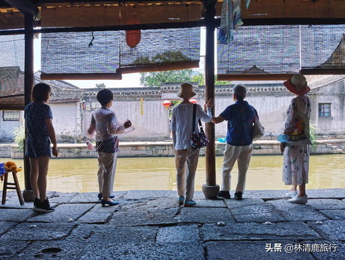 江南百景图囚犯怎么抓 囚犯抓捕小技巧