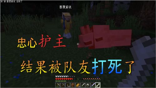 恶果之地能多人联机么