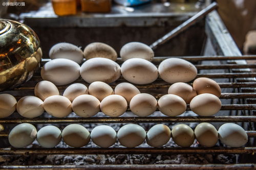 华夏人生食物有哪些