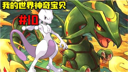 艾丽莎的国度10只猫怎么获得