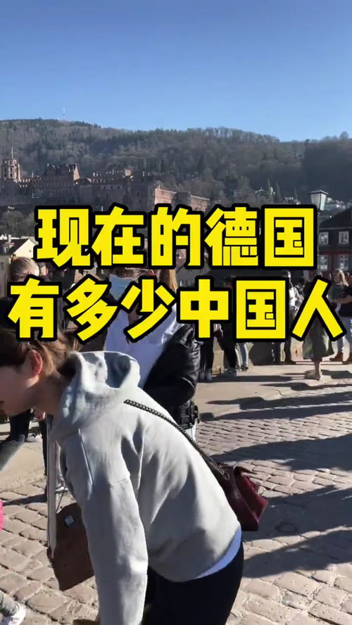 华夏人生怎么生火