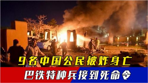 华夏人生指令大全